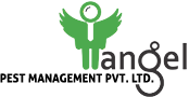 ANGEL PEST MANAGEMENT